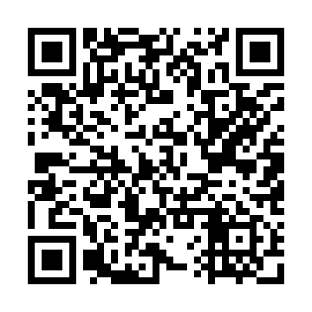 QR code for GVU919