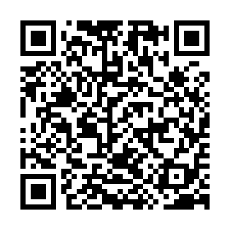 QR code for GYS919