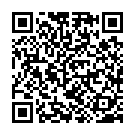 QR code for GYX729