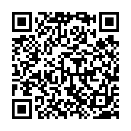 QR code for GZL613