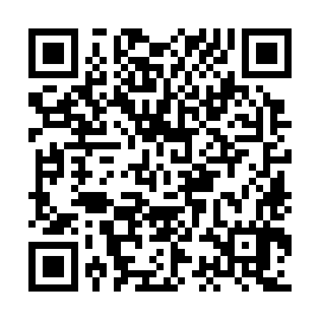 QR code for HCO387