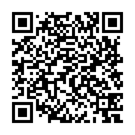 QR code for HFG938