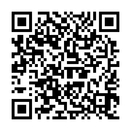 QR code for HHN313