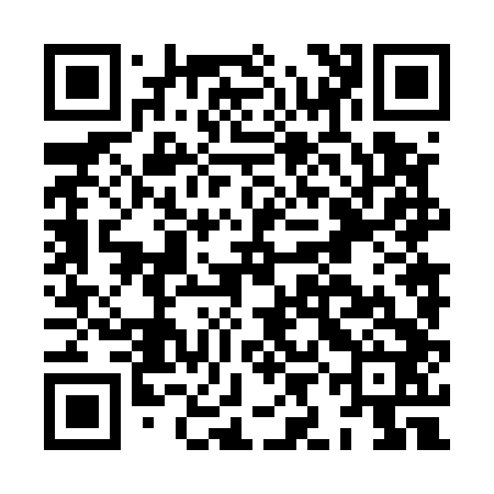 QR code for HIN542