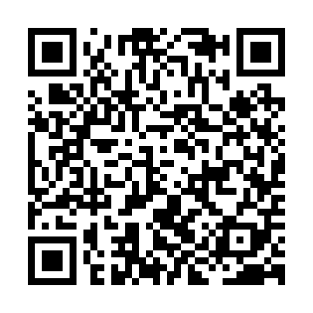 QR code for HIS209