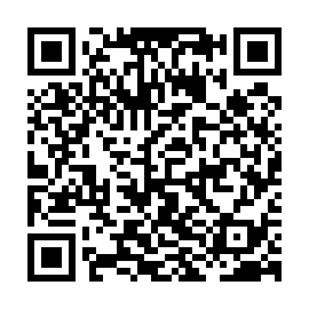 QR code for HLG539