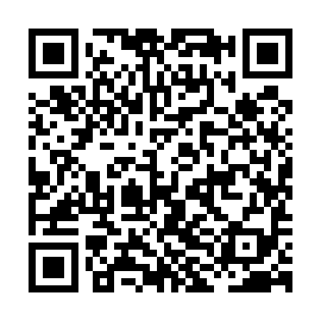 QR code for HLI599