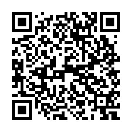 QR code for HMG310