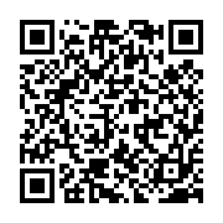 QR code for HMG413