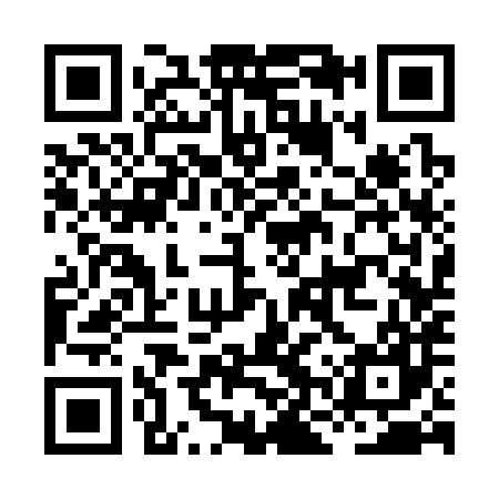 QR code for HNS387