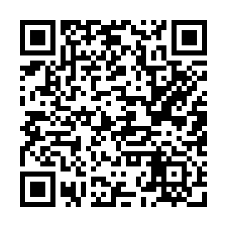 QR code for HNU313