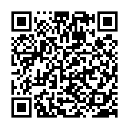 QR code for HSE538