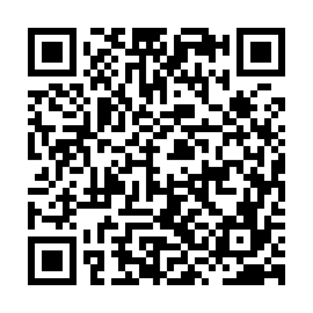 QR code for HSE976