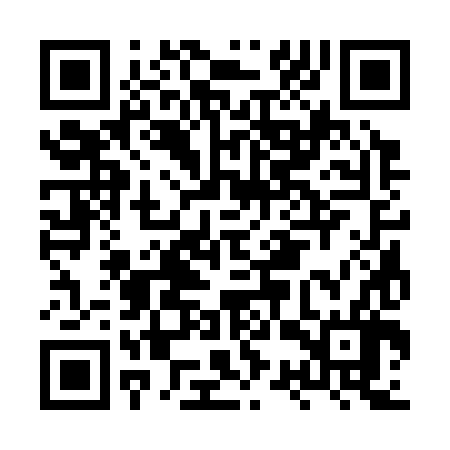 QR code for HSS386