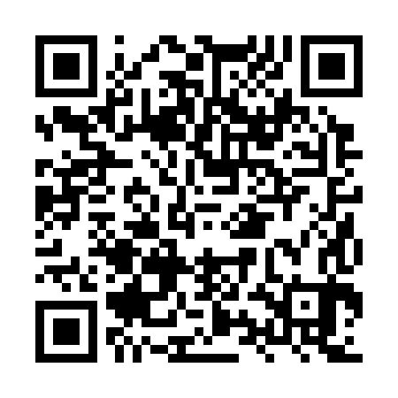 QR code for HYB383