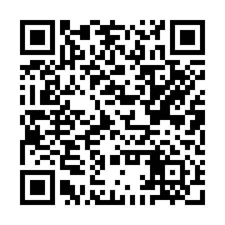 QR code for IAP311