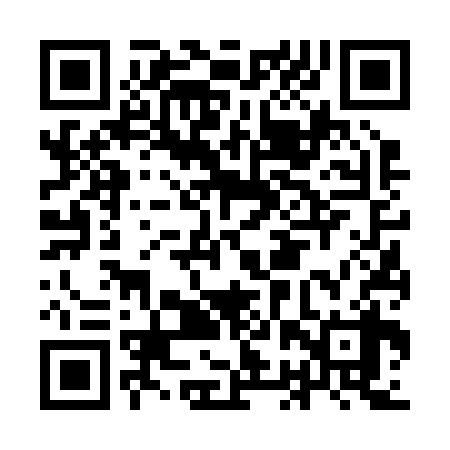 QR code for IBV238