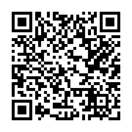 QR code for IBV382
