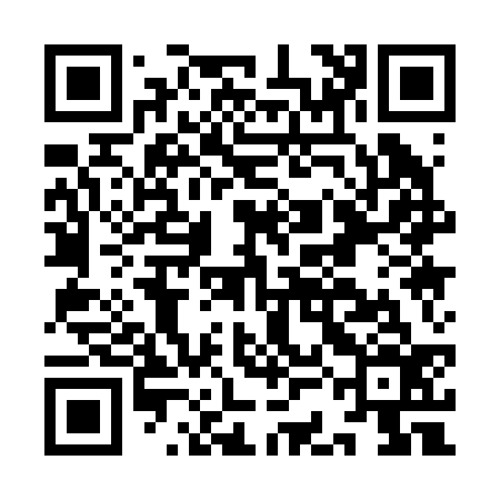 QR code for ICA236
