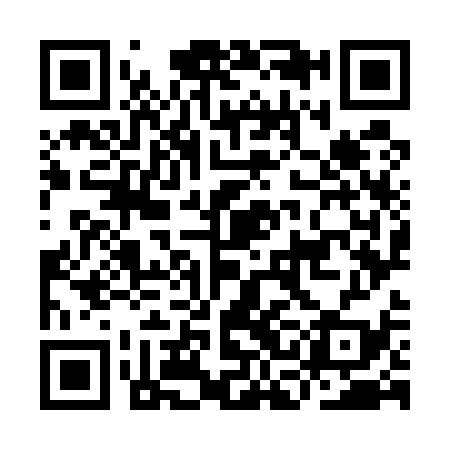 QR code for ICO539