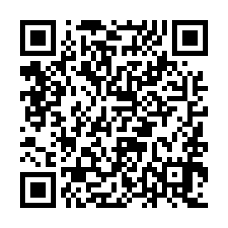 QR code for IDD595