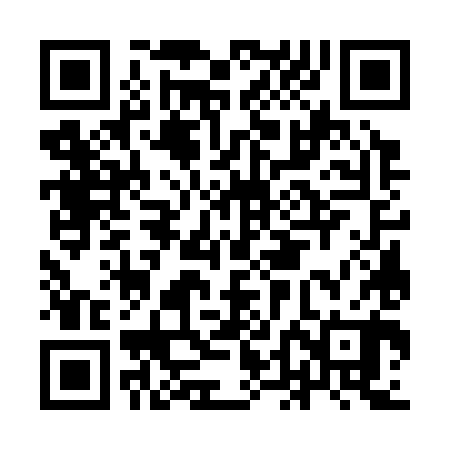 QR code for IDG380