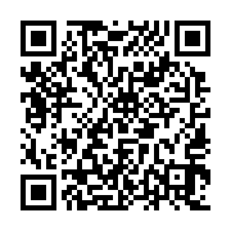 QR code for IDO313