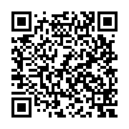 QR code for IDS199