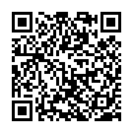 QR code for IDS411