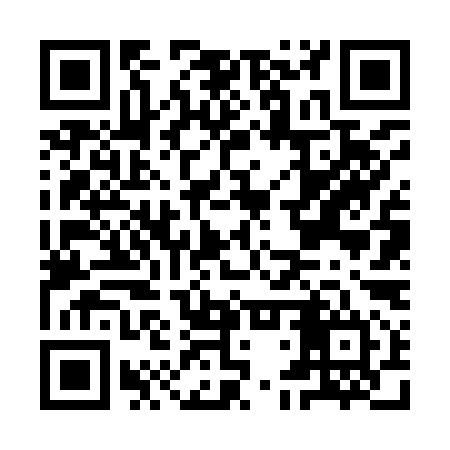 QR code for IDV994