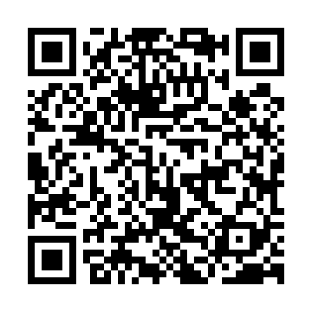QR code for IDZ529