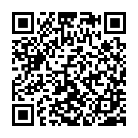 QR code for IEM383
