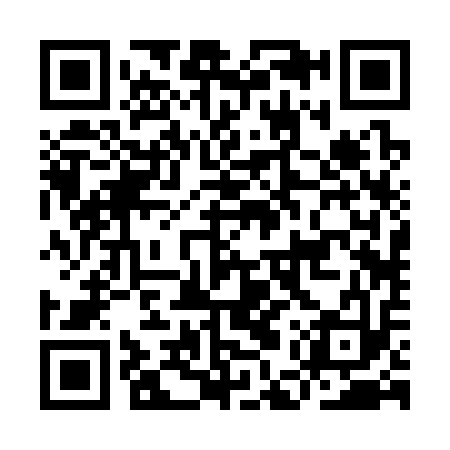 QR code for IER313