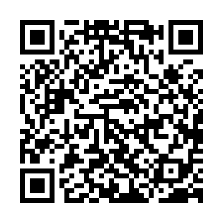 QR code for IFP919