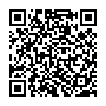 QR code for IHE411