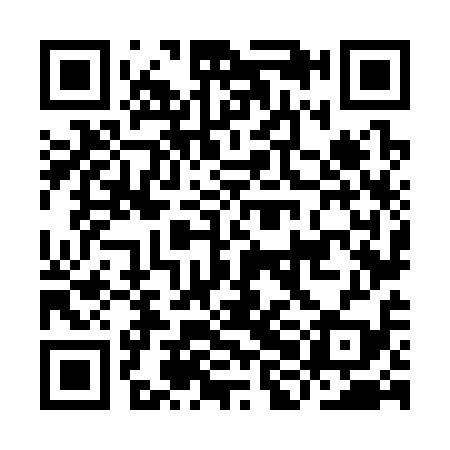 QR code for IHN319