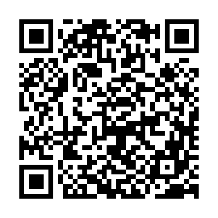 QR code for IIB866