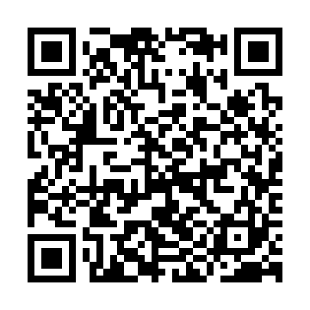 QR code for IIC323