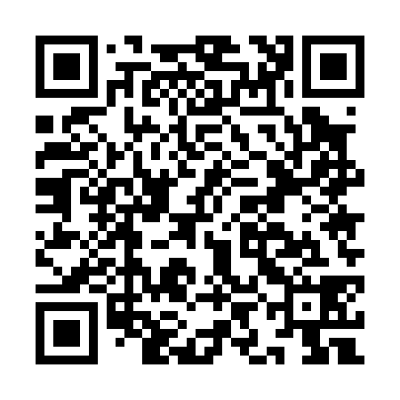 QR code for IIE038