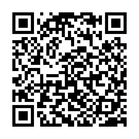 QR code for IIE289