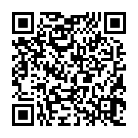QR code for IIE867
