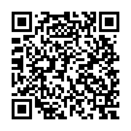 QR code for IIG793