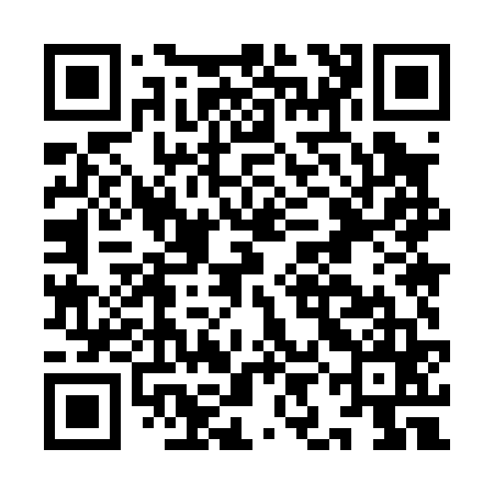 QR code for IIM065