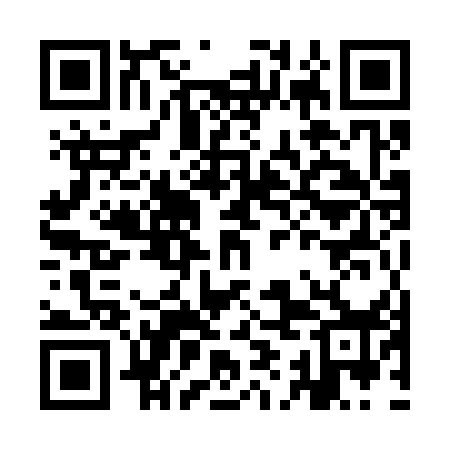 QR code for IIM358