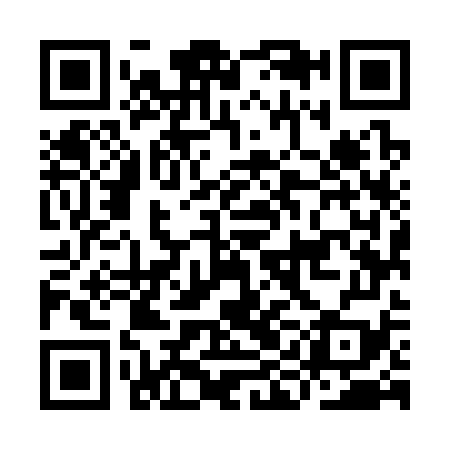 QR code for IIM379