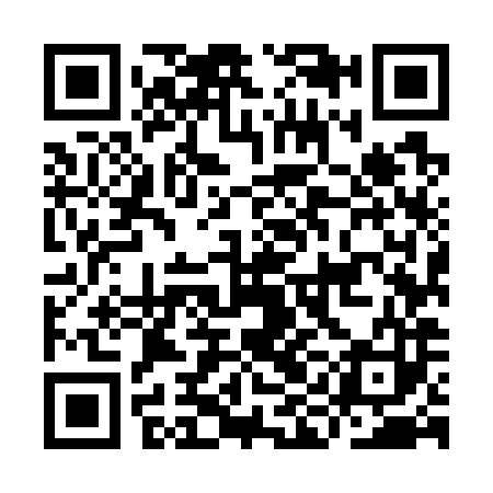 QR code for IIM783