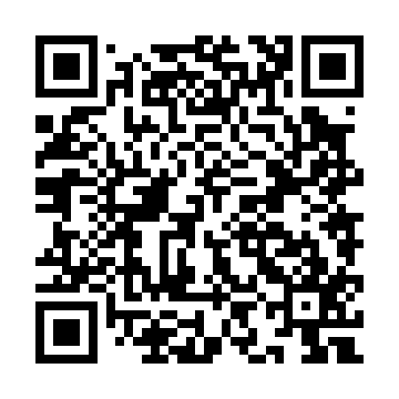 QR code for IIN017