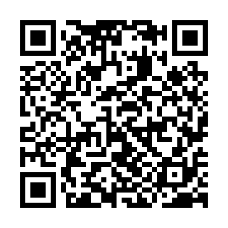 QR code for IIN210