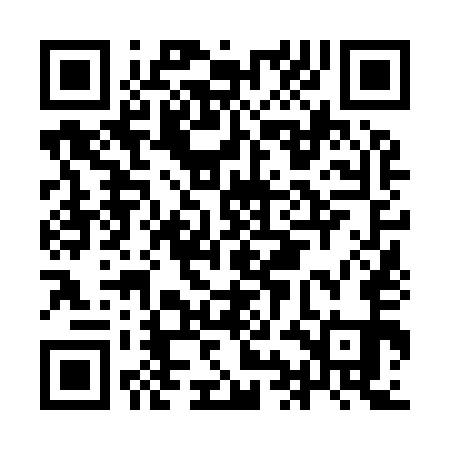QR code for IIN951