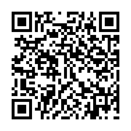 QR code for IIN971